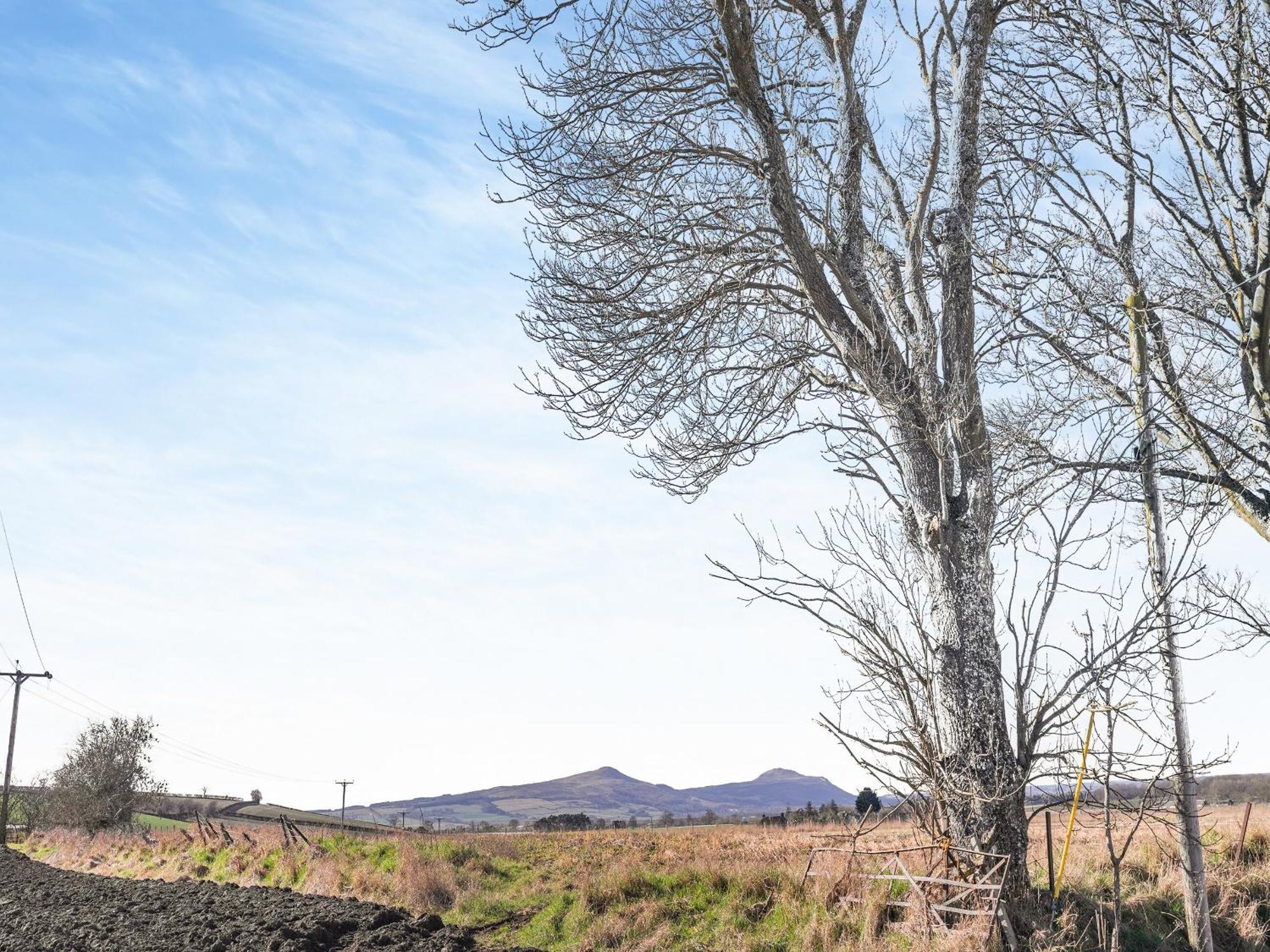 The Old Shepherds Cottage Pitlessie Bagian luar foto
